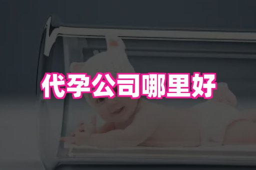 福建助孕网 1
