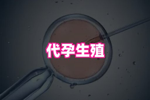 福建助孕网 2